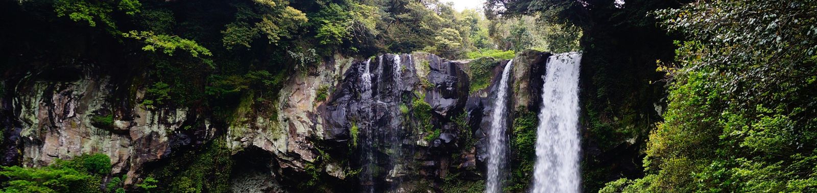 Reizen naar Zuid-Korea | Ontdek de perfecte mix van traditie en moderniteit