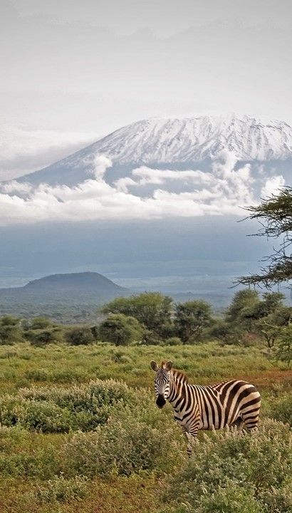 Actief Kenia - 8-daagse rondreis