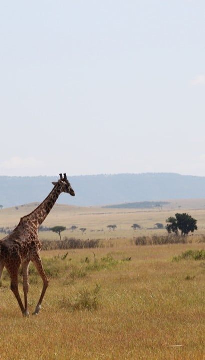 Actief Tanzania - 9-daagse rondreis