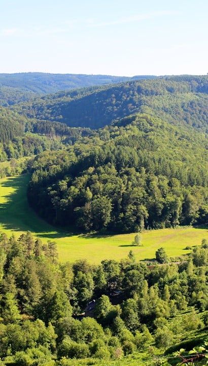 Wandelvakantie - Ardennen | Poix St-Hubert La Grande Forêt de Saint-Hubert: tussen Lesse en Lomme -