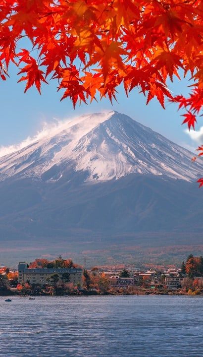 Limited Japan: Beleef de winter