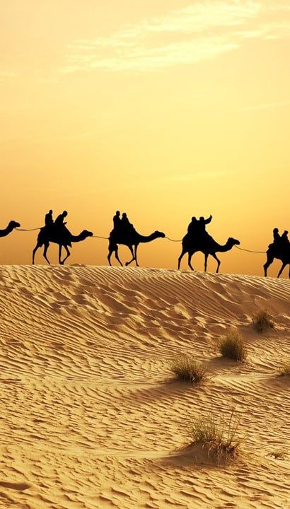 Zuid Marokko in vogelvlucht: 8-daagse rondreis per 4x4