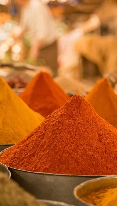 5-daagse Citytrip Marrakech & Agafay - Marokko