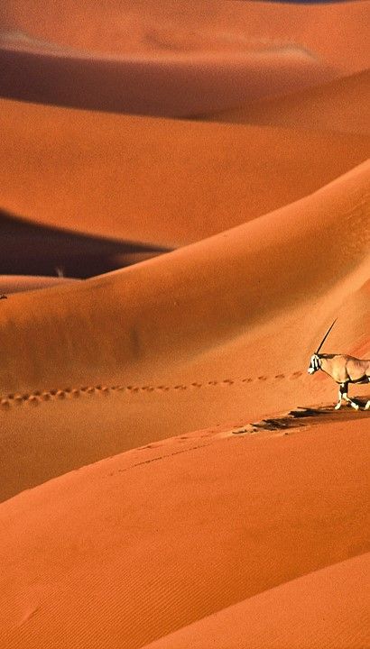 Namibië - 16 daagse rondreis