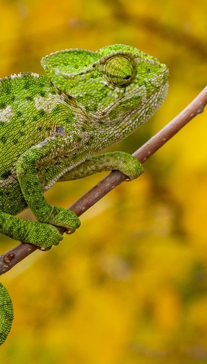 Rondreis Madagascar - 16 dagen