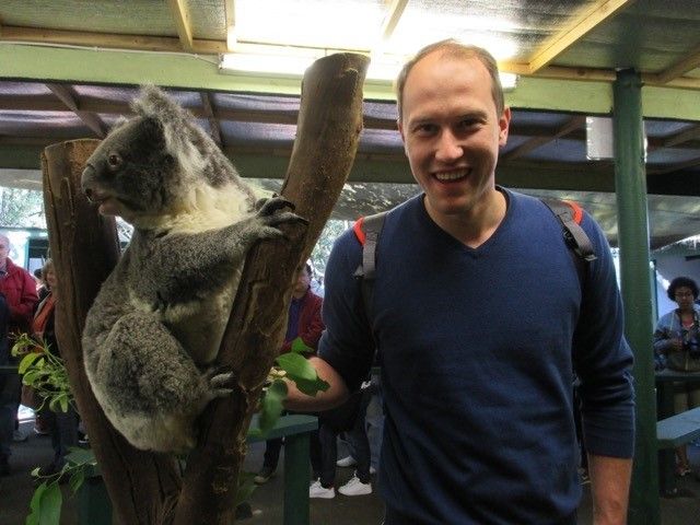 anke-capenberghs-insight-travel-koala.jpg