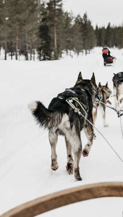 Winter Adventure Saariselkä - Finland