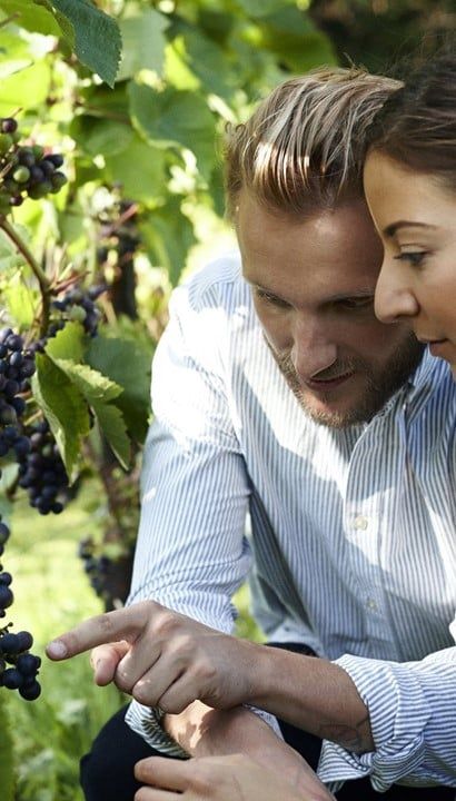 7-daagse Culinaire ontdekkingsreis in Denemarken