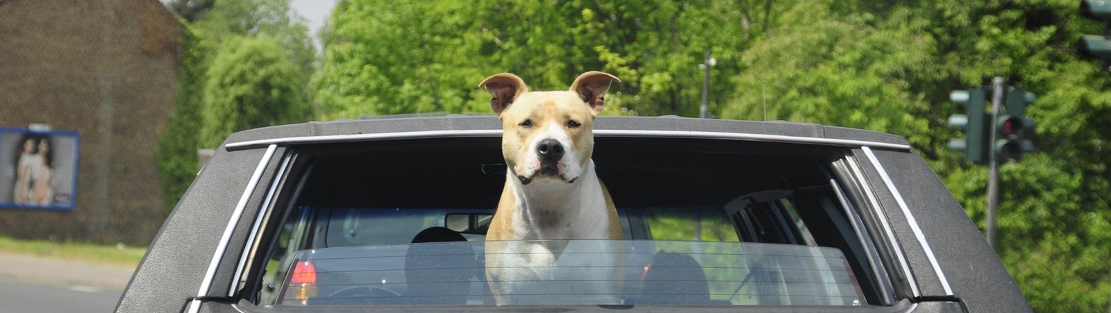 Jobs bij reisbureau Selectair Vandamme Reizen | Vacatures in de reissector