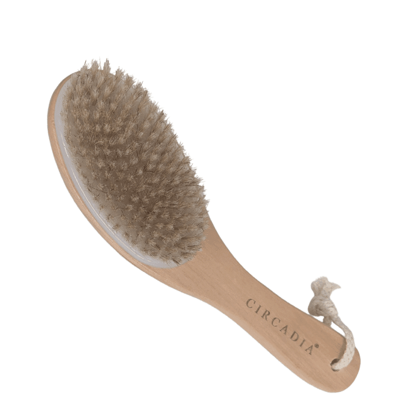 Circadia Body Brush