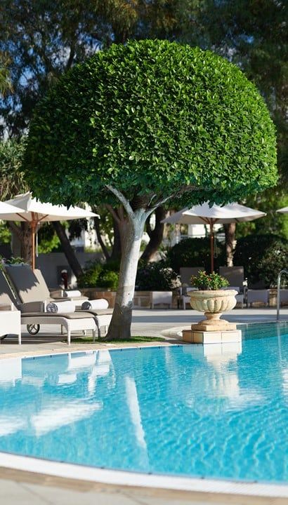 5* Corinthia Palace Malta, Malta