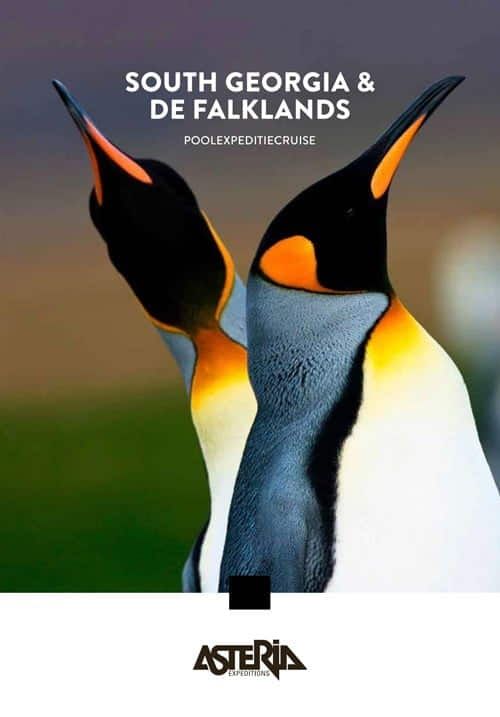 Asteria | Expeditions South Georgia
