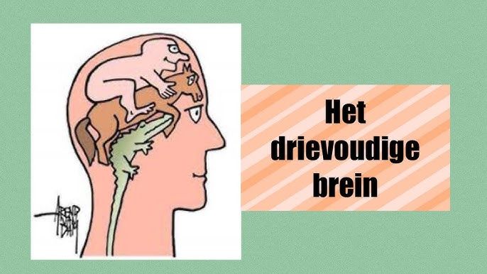 De cijfers hebben altijd gelijk