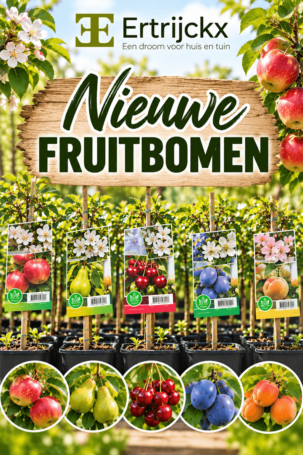Nieuwe fruitbomen bij Tuincentrum Ertrijckx!