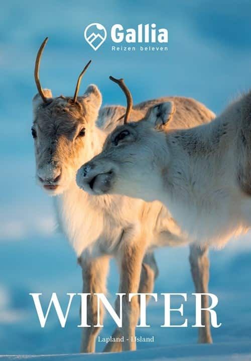 GALLIA | Winter reizen in Lapland & Ijsland