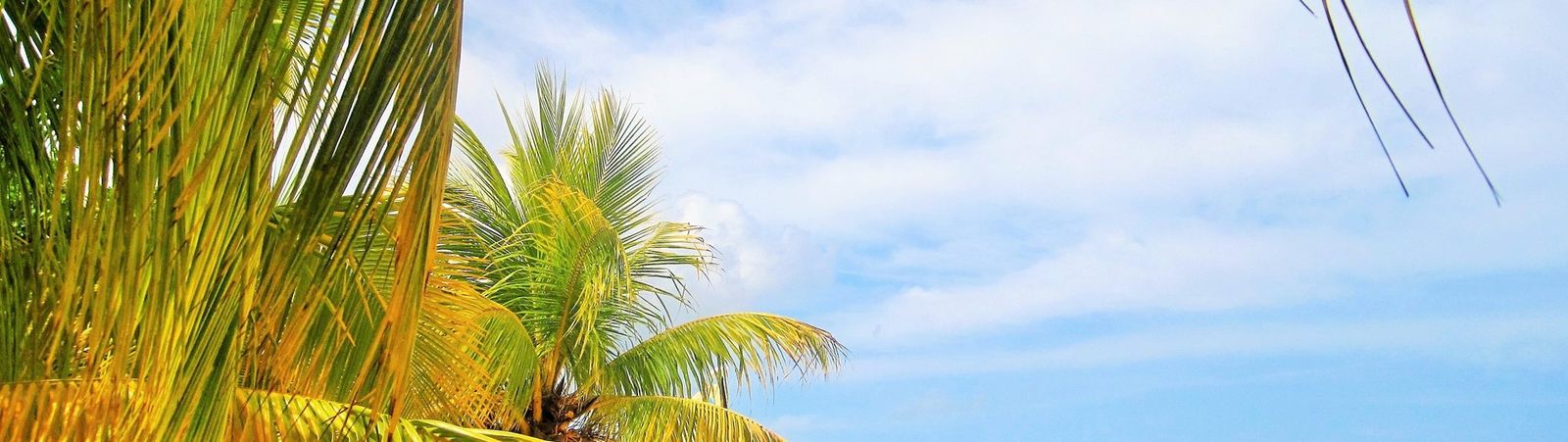 Yeah Mon! Jamaicaans voor dummies