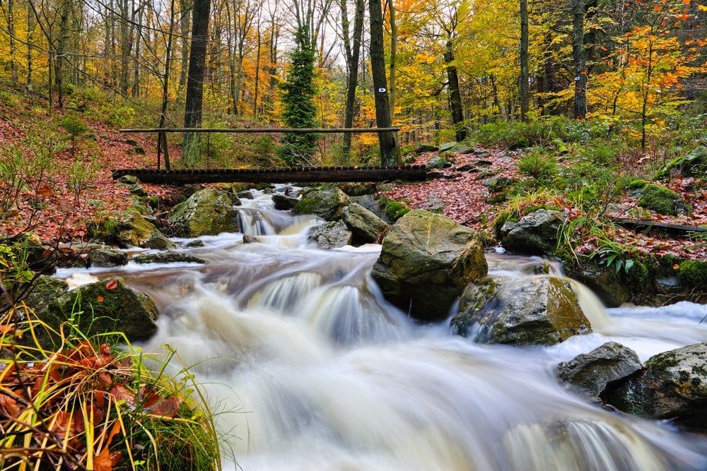 Natuur in de Ardennen: Hotel Le Val de Poix