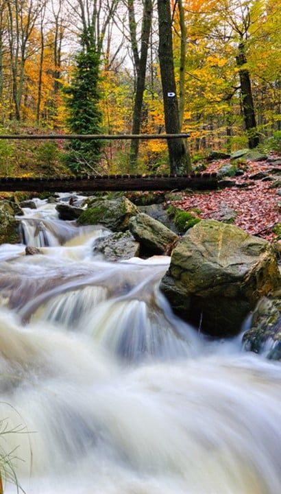 Natuur in de Ardennen: Hotel Le Val de Poix
