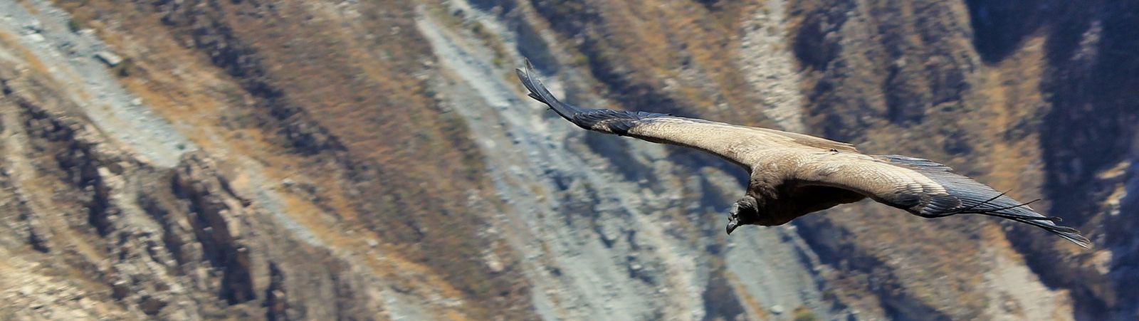 Begeleide groepsreis Peru