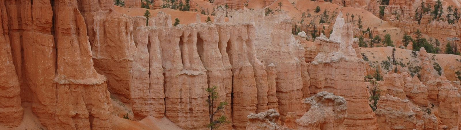 Twaalf keer naar de Verenigde Staten