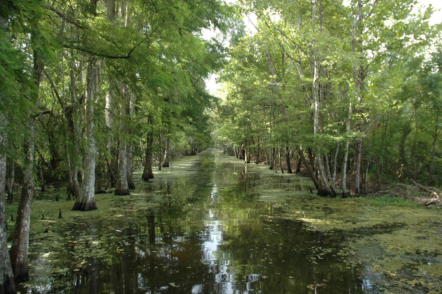 jean-paul-van-nieuwenhove-penta-reizen-west-usa-water-2.jpg