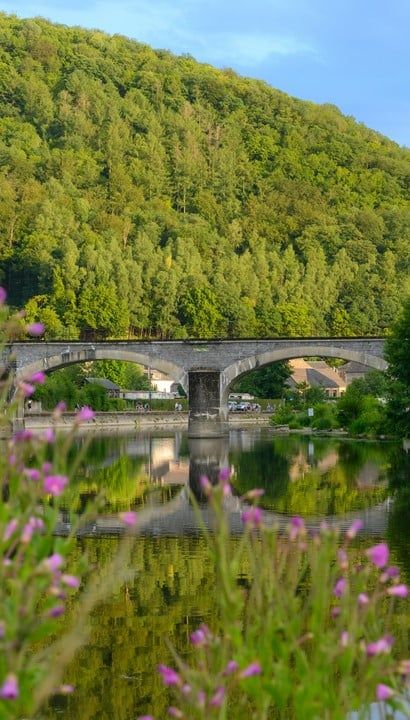 Wandelvakantie - Ardennen | Poix St-Hubert La Grande Forêt de Saint-Hubert: tussen Lesse en Lomme 6