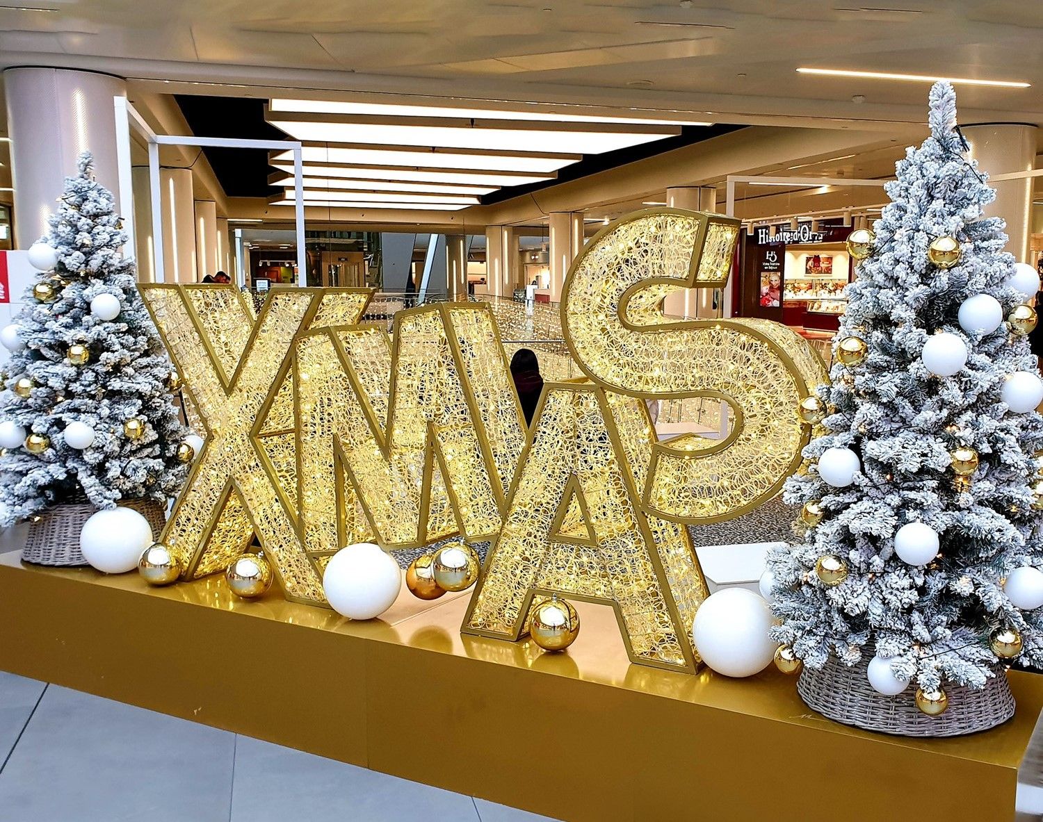 kerstdecoratie-verlichte-XMAS (6).jpg