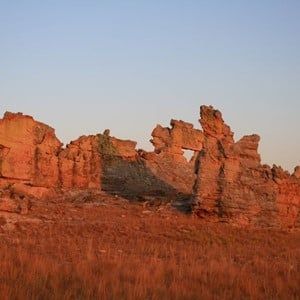 Reizen naar Madagascar | Ontdek unieke natuur en cultuur | Selectair