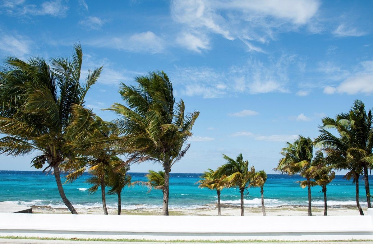 Ontdek MSC World America - Luxe en Comfort op Zee - Cruise vanuit Miami naar de Caraïben