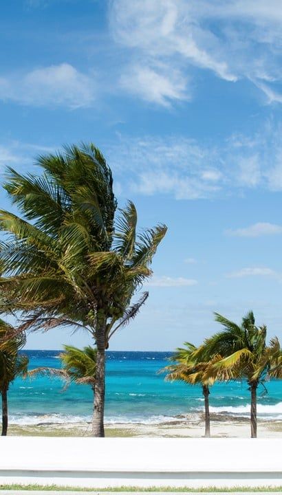 Ontdek MSC World America - Luxe en Comfort op Zee - Cruise vanuit Miami naar de Caraïben