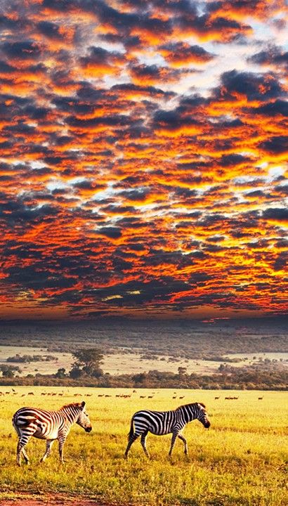 Rondreis Namibië - The Land of Dry Water - 15 dagen