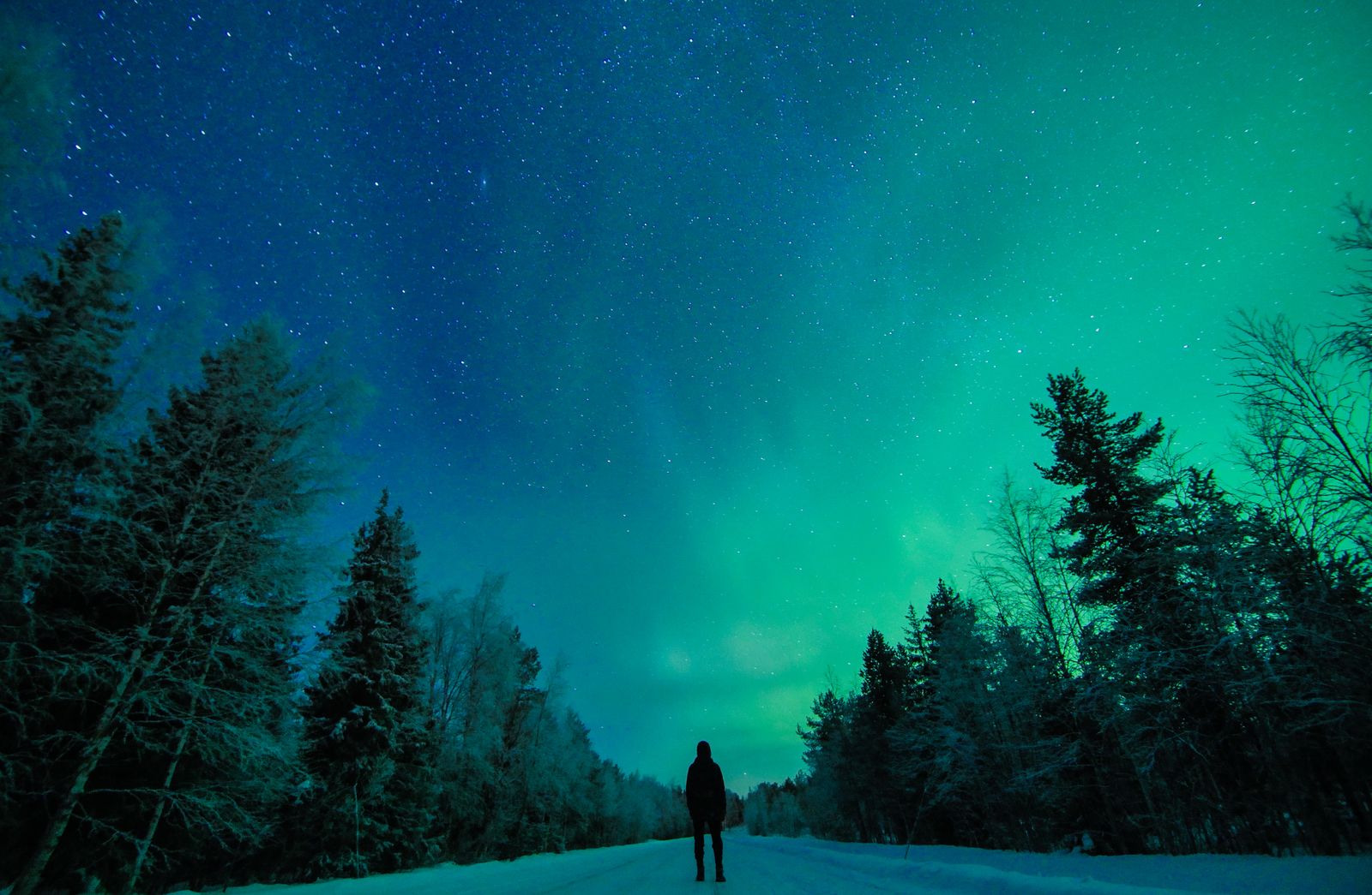 Ontdekking van Lapland - Shortbreak groepsreis - 5 dagen