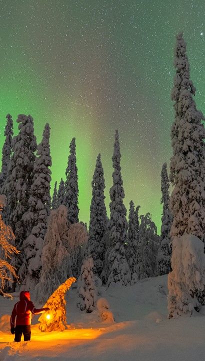 Ontdekking van Lapland – Shortbreak Vijfdaagse Nederlandstalig begeleide groepsreis