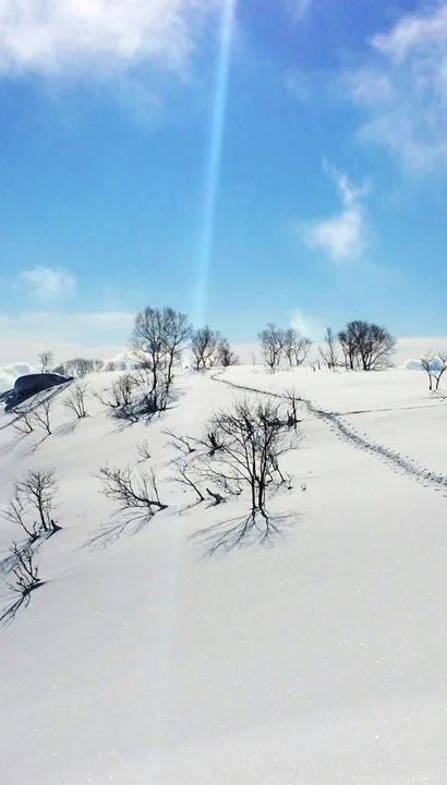 Limited Japan: Van sushi tot ski - 8 daagse rondreis