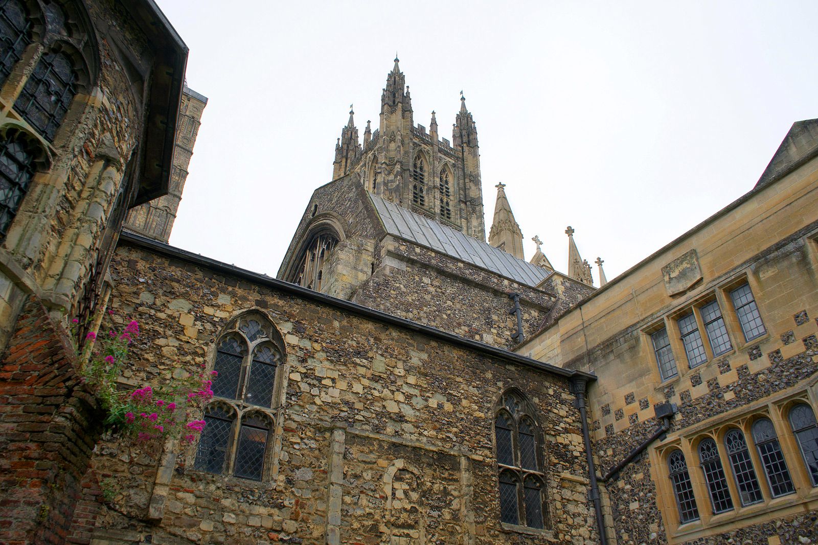 TTO Taalreis Canterbury