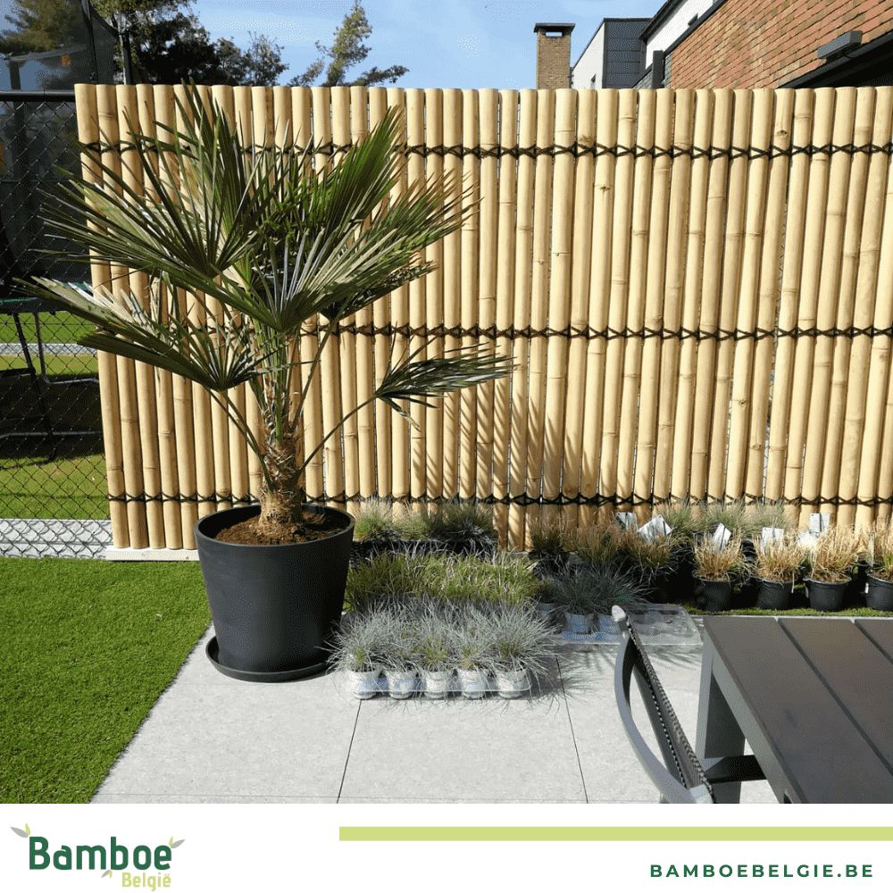 Privacy op je terras verhogen met bamboeschermen - Bamboe België