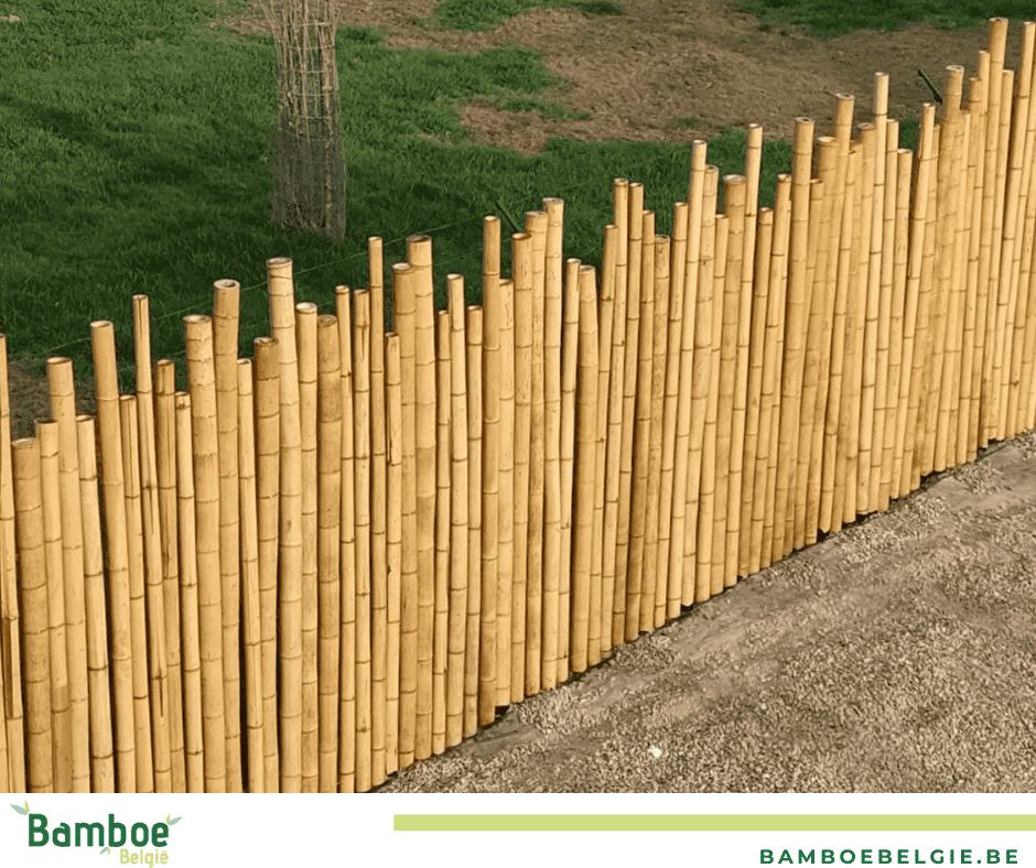 Tuinomheining met verschillende bamboepalen - Bamboe België