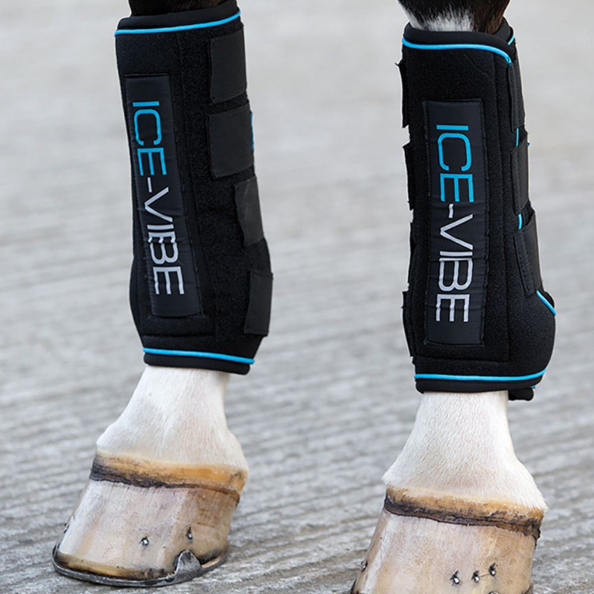 Ice-Vibe Boots aan de voorbenen van het paard