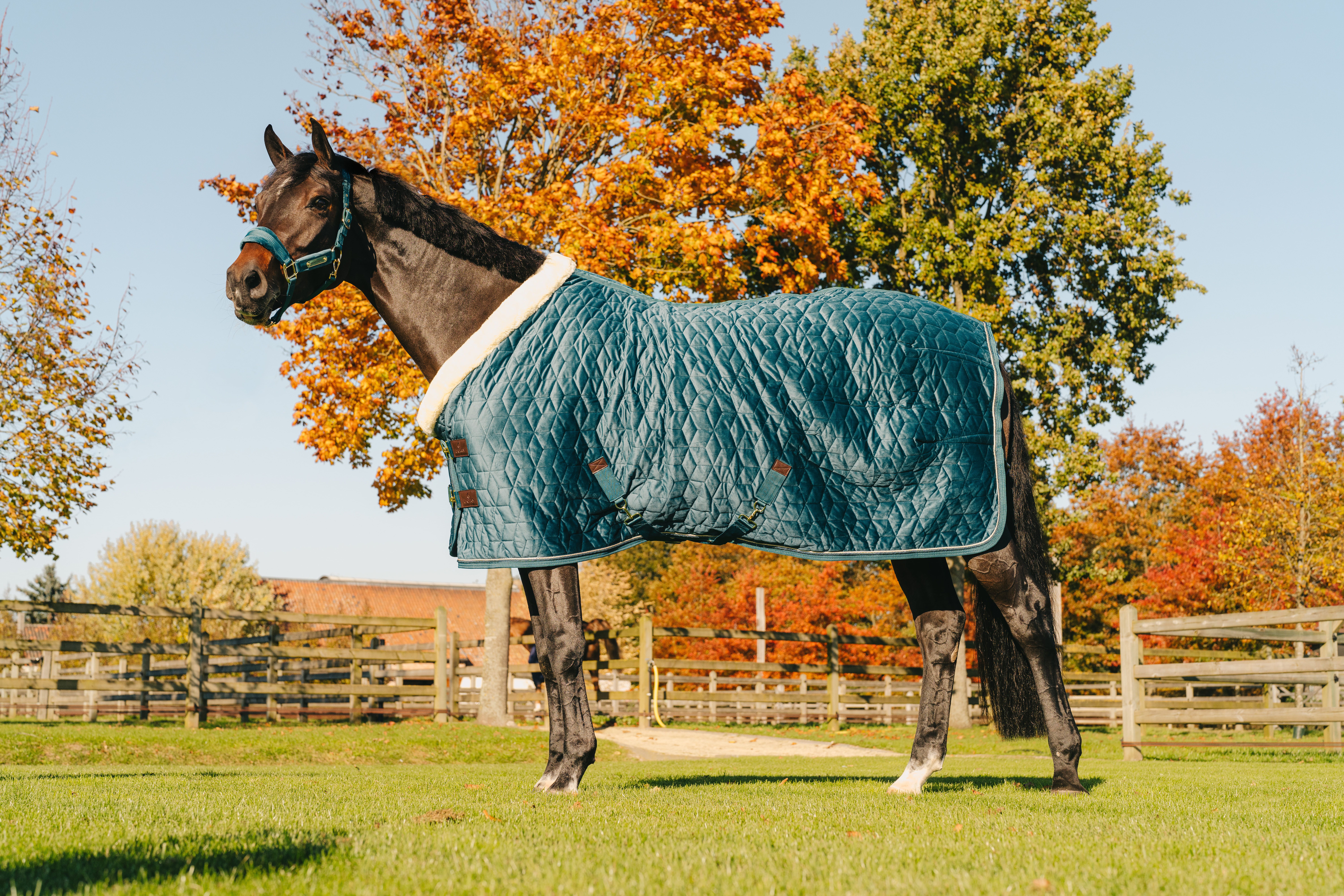 Als je paard geschoren is, moet je natuurlijk steeds een deken voorzien. De vulling hangt af van de temperatuur, de uren op de weide, de leeftijd en de gezondheidstoestand van je paard.