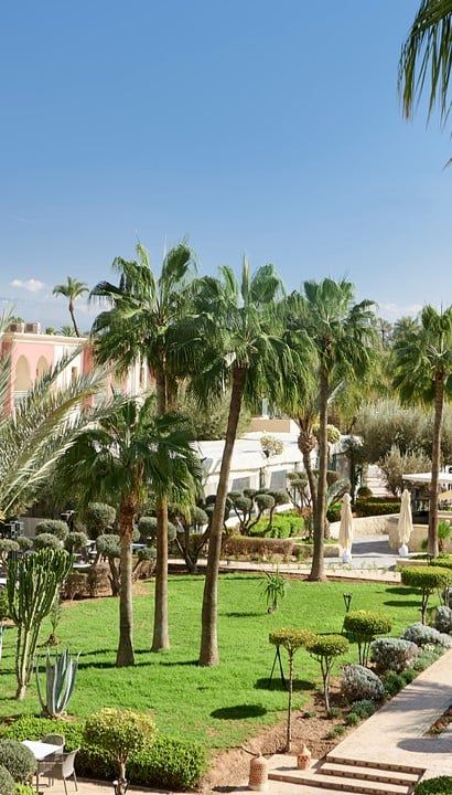 Een tropisch paradijs in een wereldstad - Iberostar Waves Club Palmeraie Marrakech 4* - Marokko