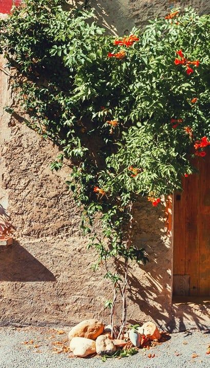 Selfdrive rondreis Provence - Frankrijk