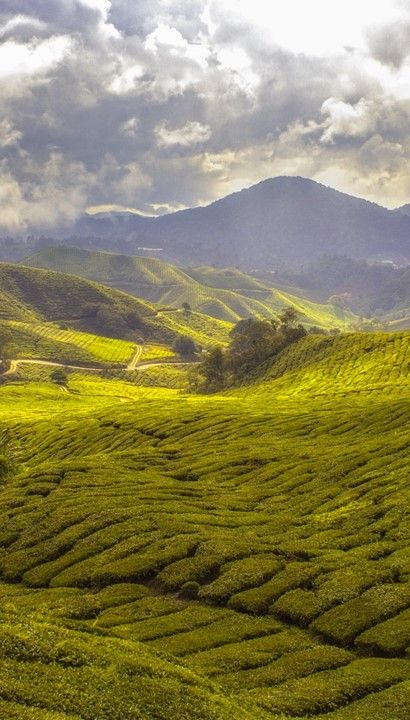 Rondreis op maat naar Maleisië