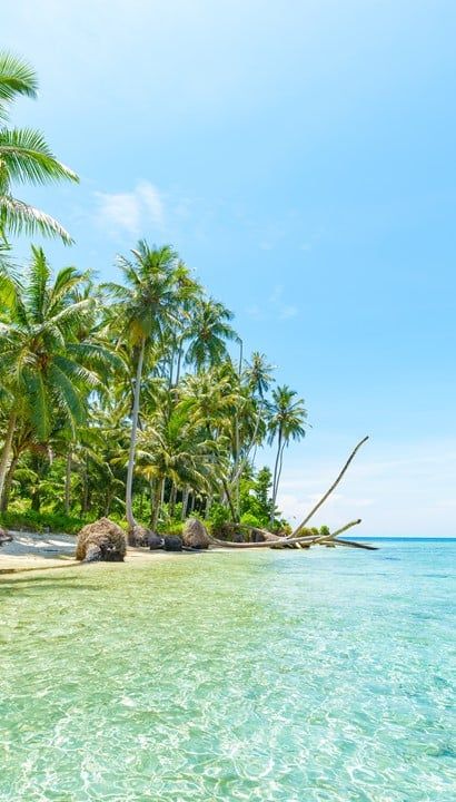 De Charmante Seychellen - 10 daagse rondreis