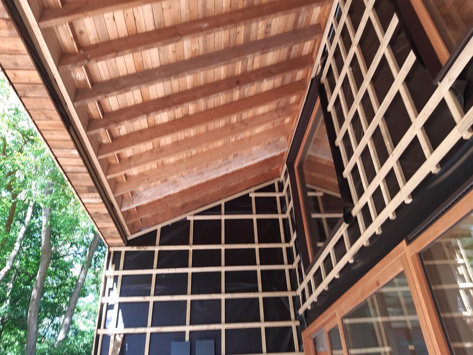 shared image (10).jpg