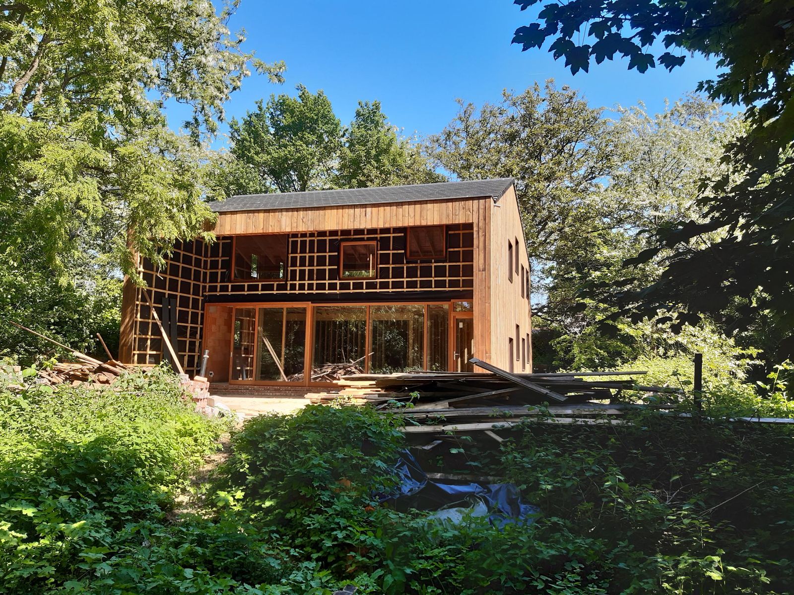 shared image (12).jpg