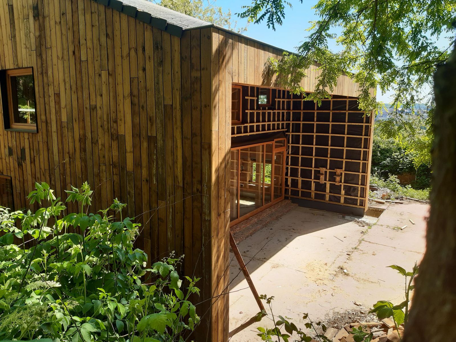 shared image (13).jpg