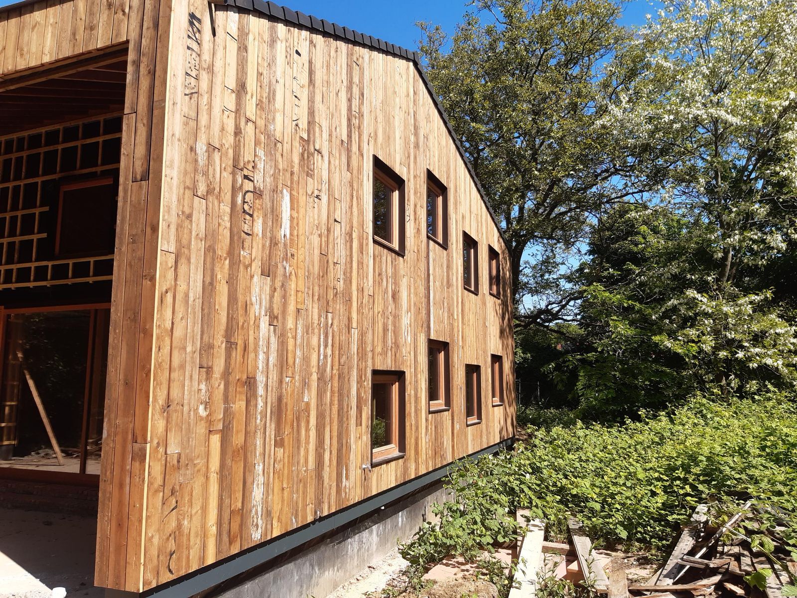 shared image (14).jpg