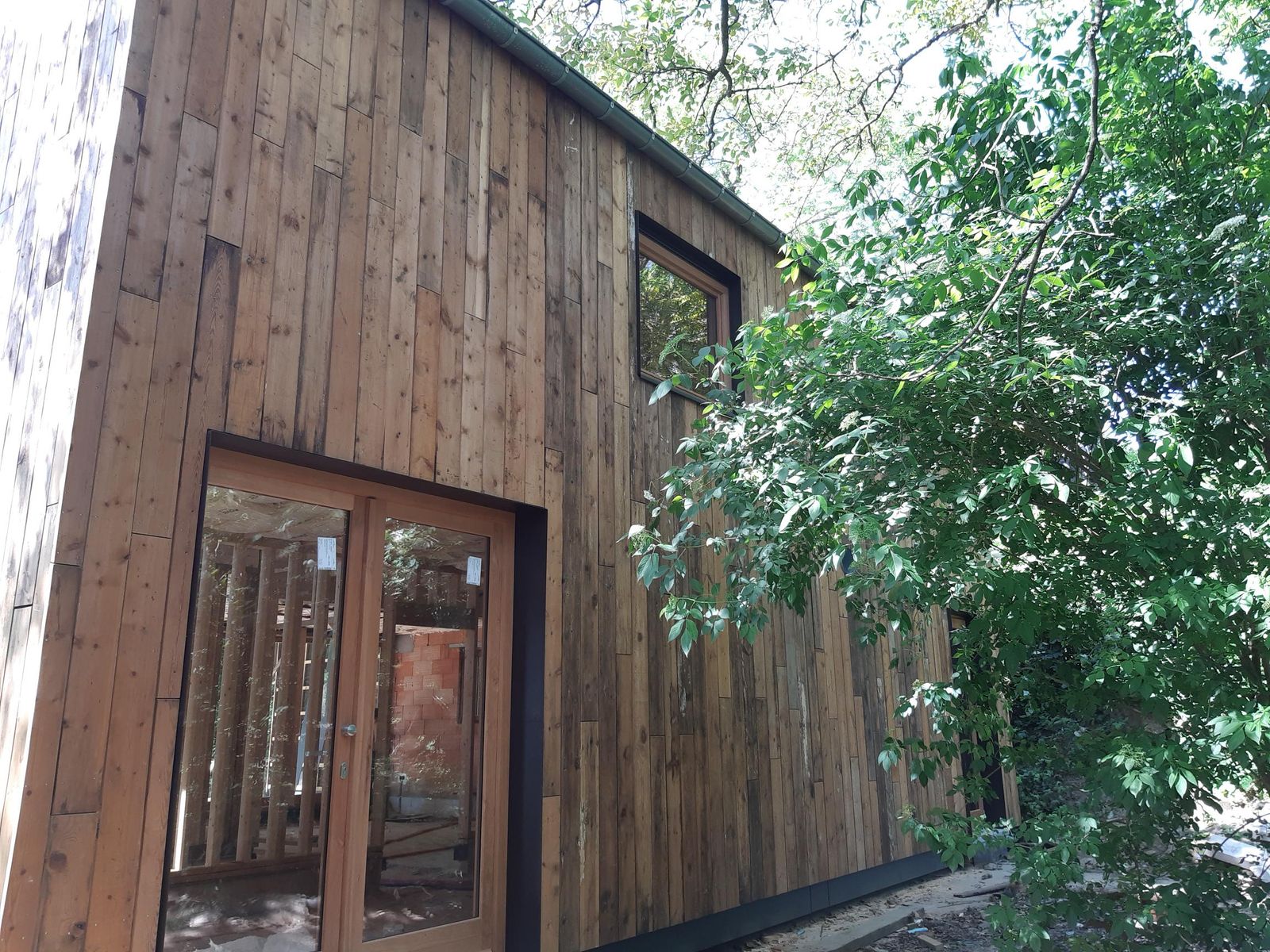 shared image (15).jpg