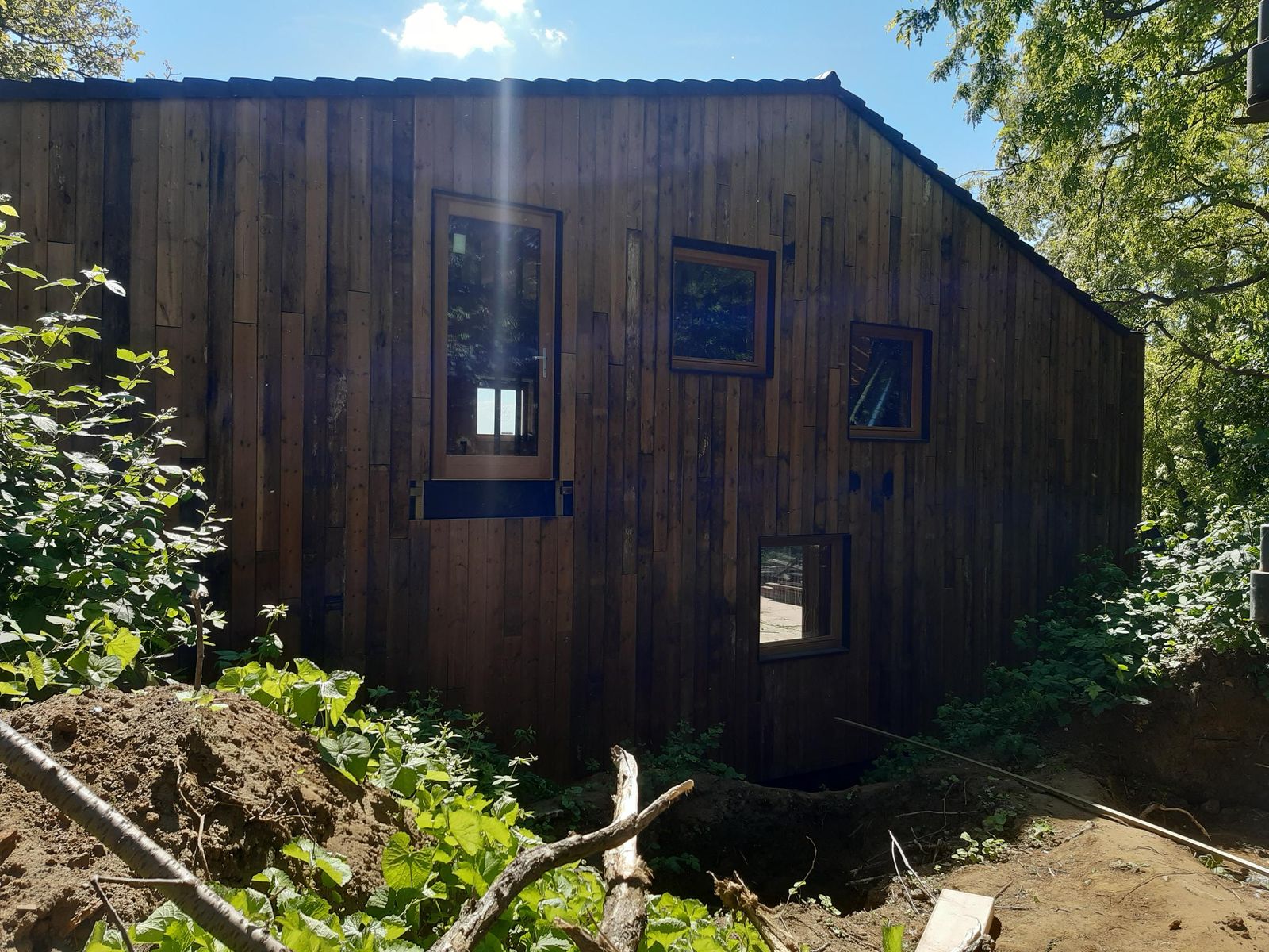 shared image (16).jpg