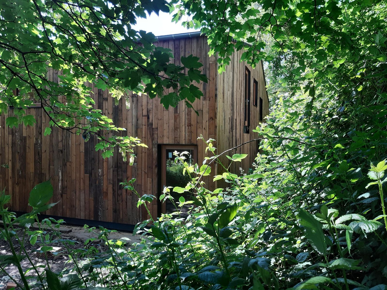 shared image (9).jpg